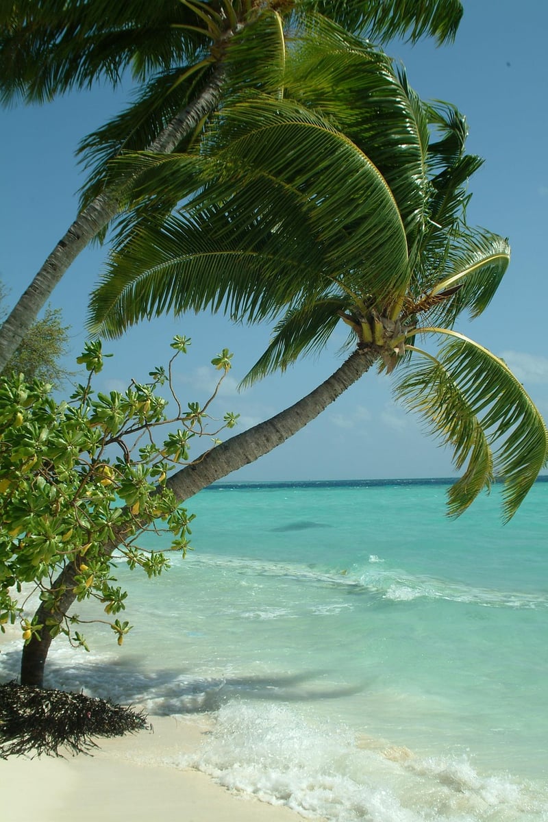 Exotic Beach Vacation